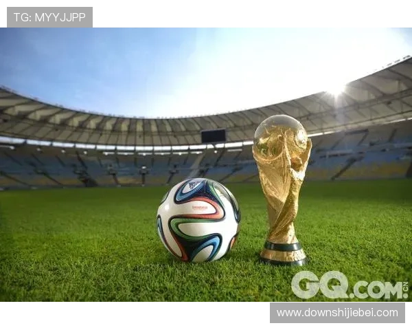 巴西世界杯：赛事组织、场馆建设与巴西国家形象的提升作用